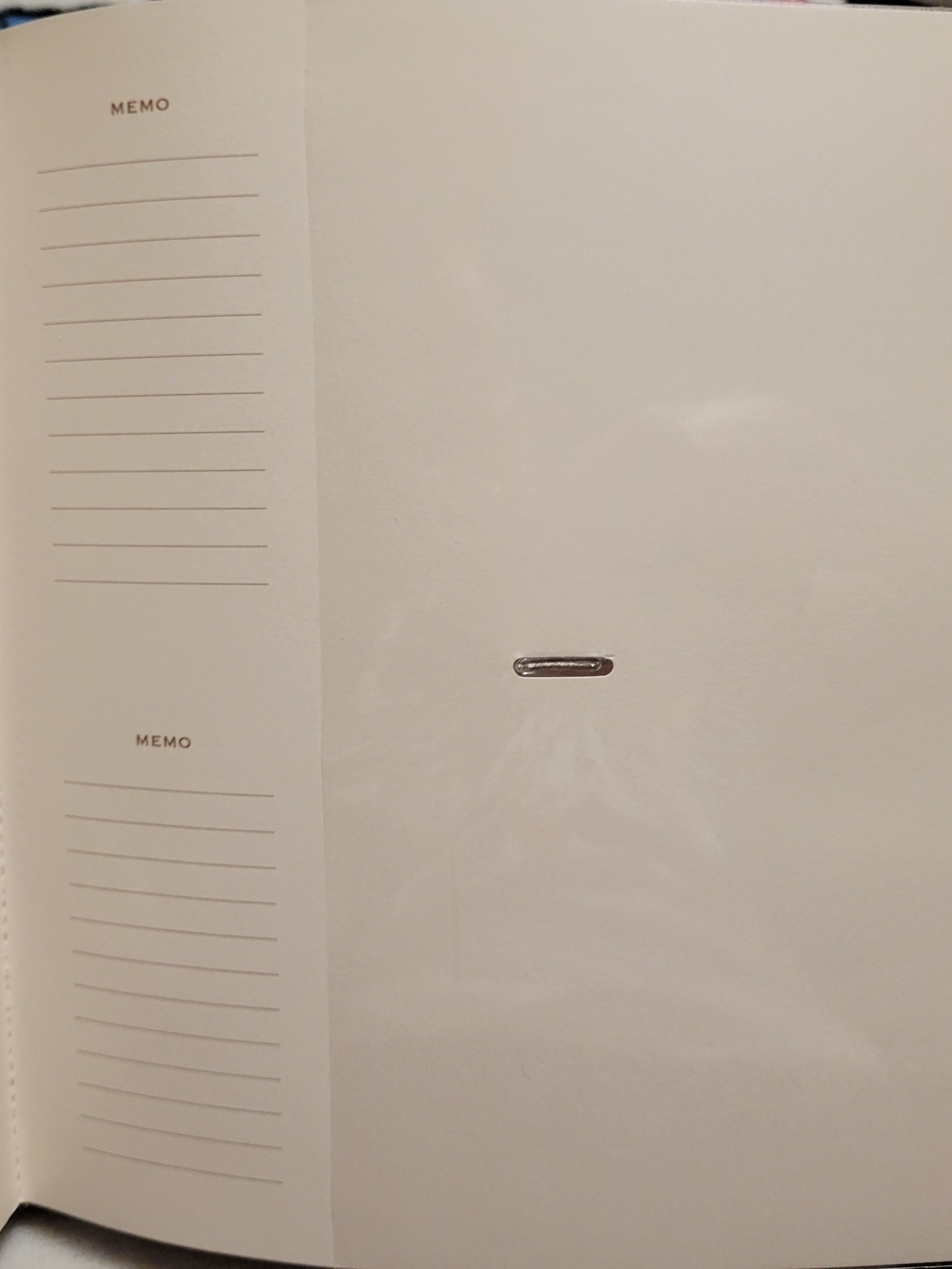 Embossed Brown Photo Album - Picture 3 of 3